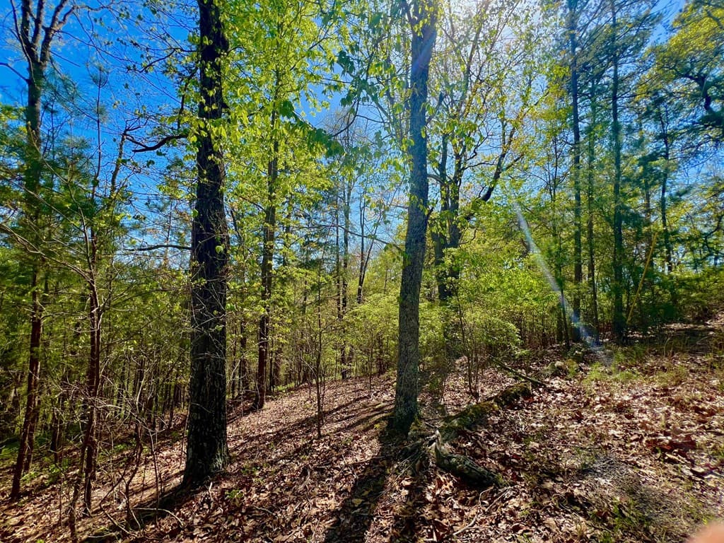 694 Railey Ridge, Ranger GA 30734 - Photo