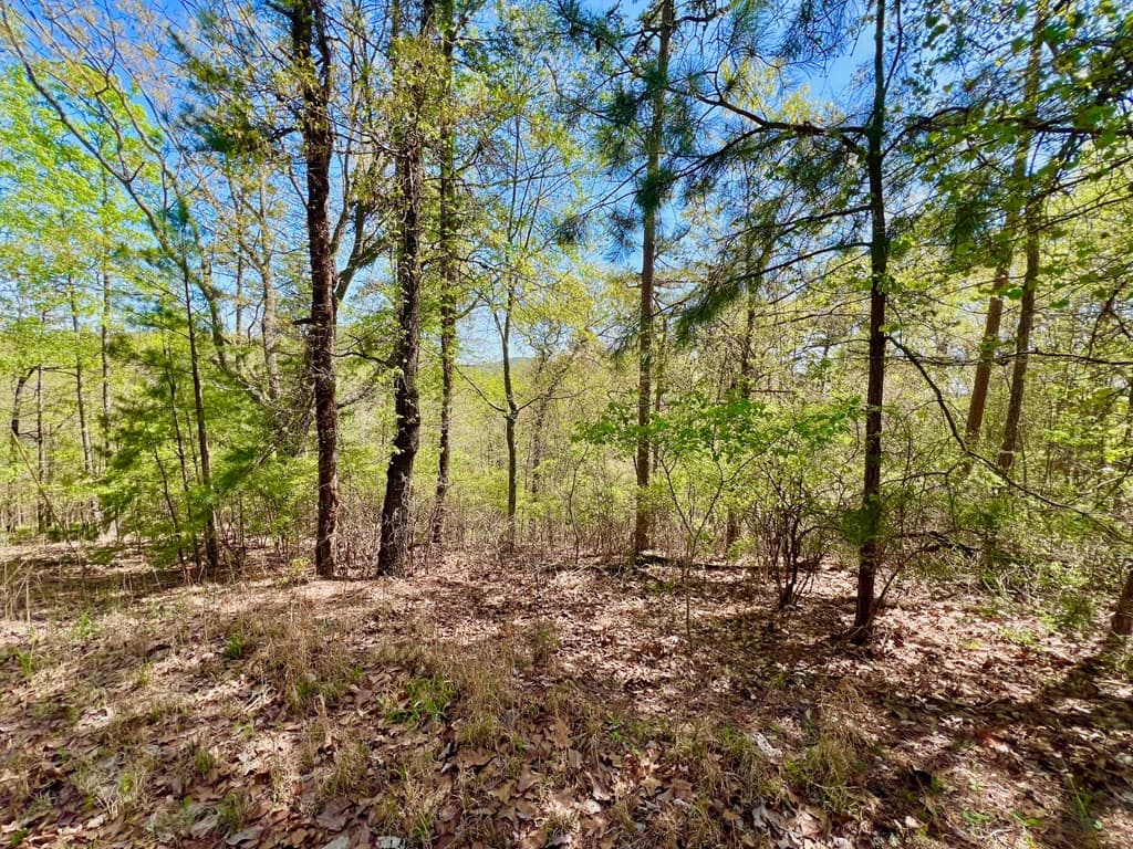 694 Railey Ridge, Ranger GA 30734 - Photo