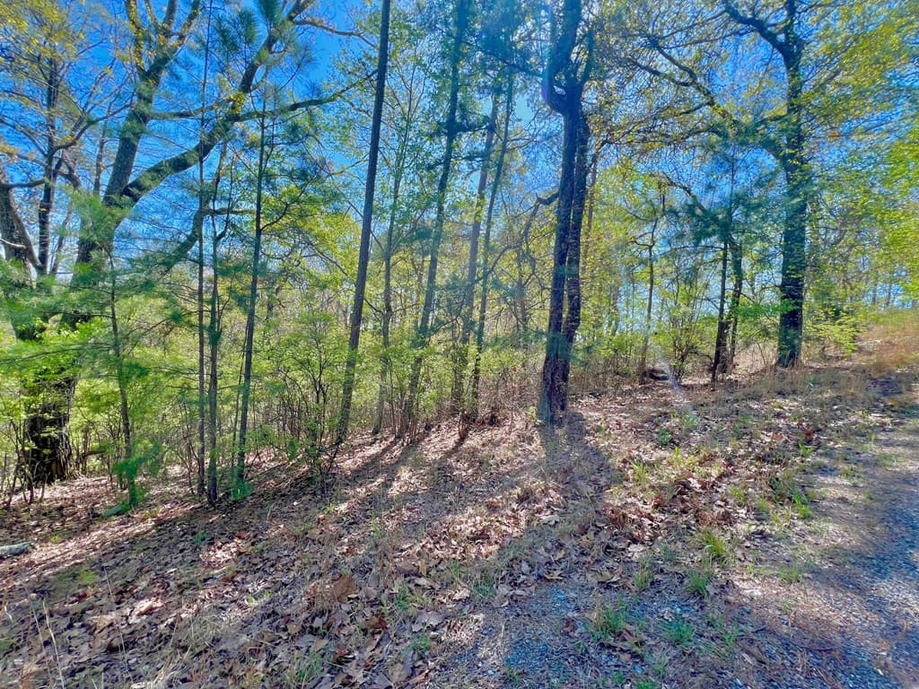 694 Railey Ridge, Ranger GA 30734 - Photo