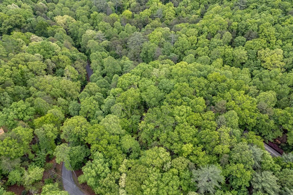 Lot 17 Lower Gap Road, Sautee Nacoochee GA 30571 - Photo