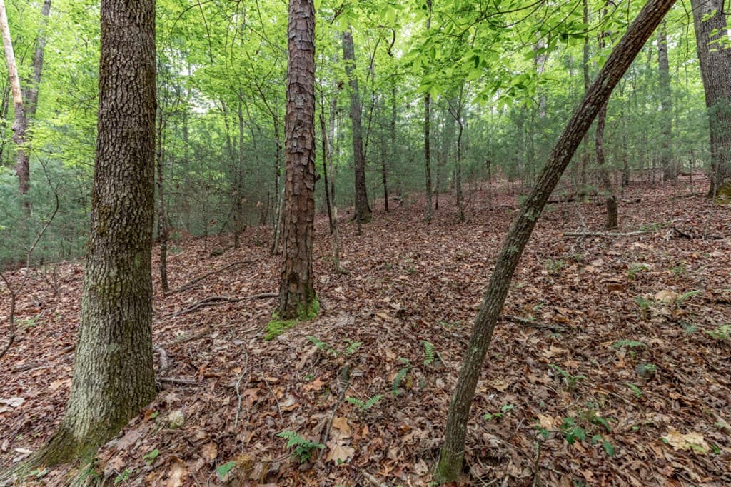Lot 17 Lower Gap Road, Sautee Nacoochee GA 30571 - Photo