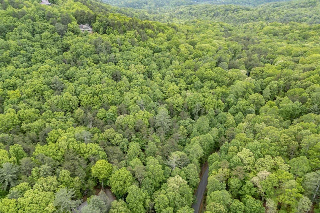 Lot 17 Lower Gap Road, Sautee Nacoochee GA 30571 - Photo