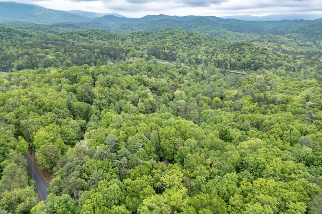 Lot 17 Lower Gap Road, Sautee Nacoochee GA 30571 - Photo