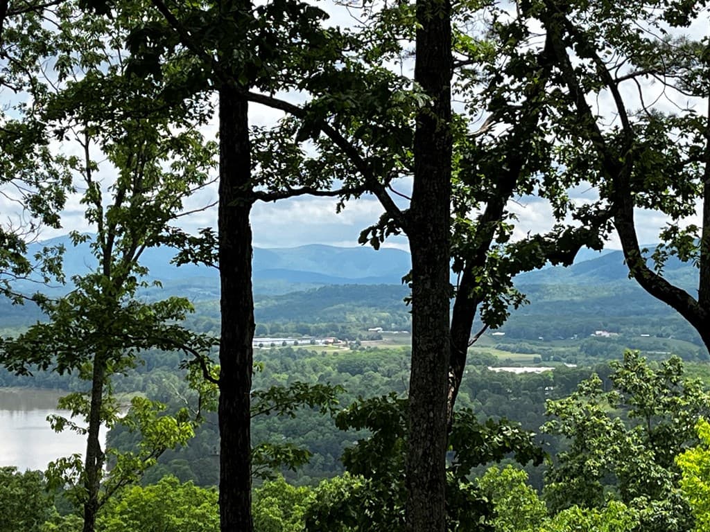 Lot 103 Highland Park, Blairsville GA 30512 - Photo