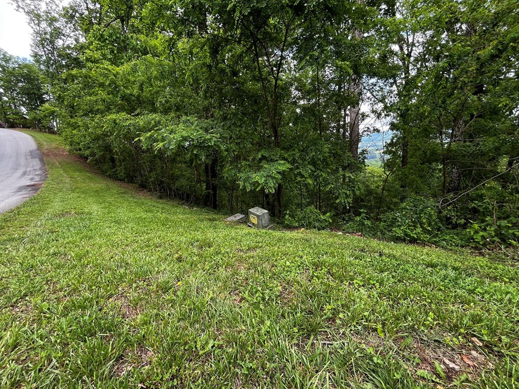 Lot 103 Highland Park, Blairsville GA 30512 - Photo