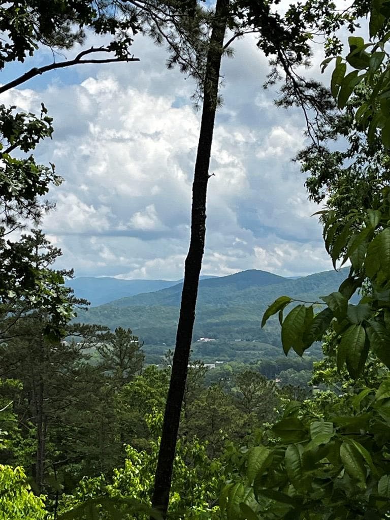Lot 103 Highland Park, Blairsville GA 30512 - Photo