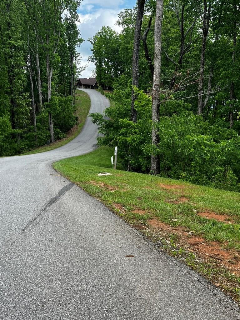 Lot 103 Highland Park, Blairsville GA 30512 - Photo