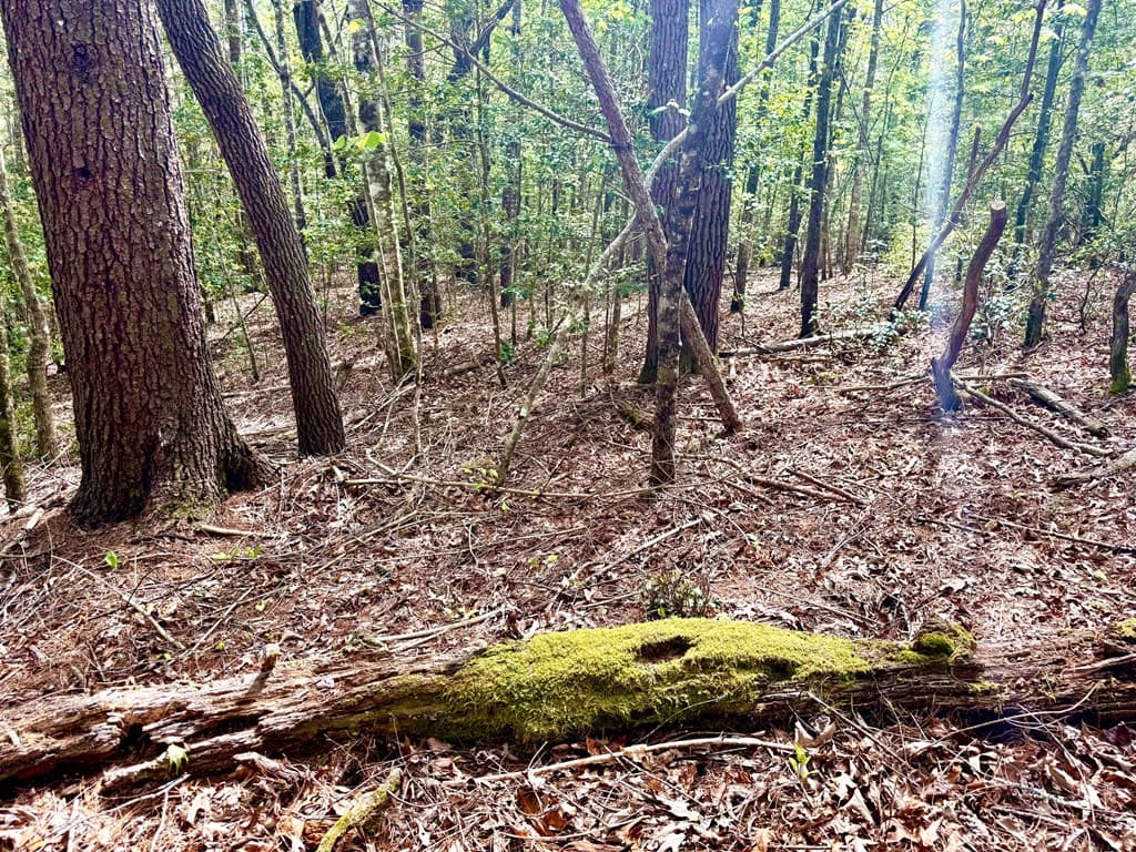 59 Rainy Farm Road, Murphy NC 28906 - Photo