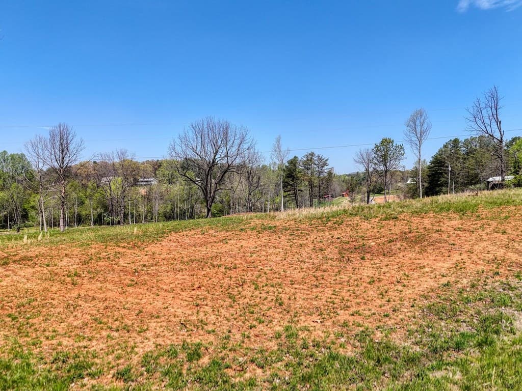 Tract II Shuler Road, Blairsville GA 30512 - Photo