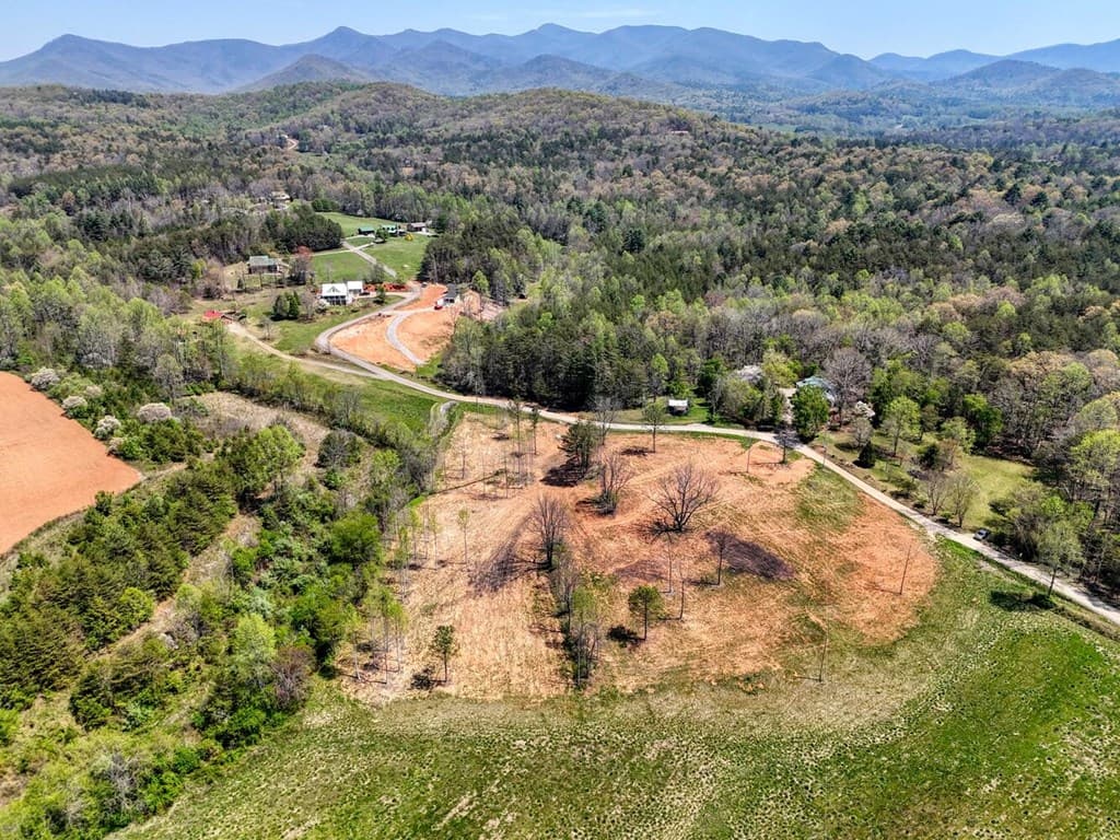 Tract II Shuler Road, Blairsville GA 30512 - Photo