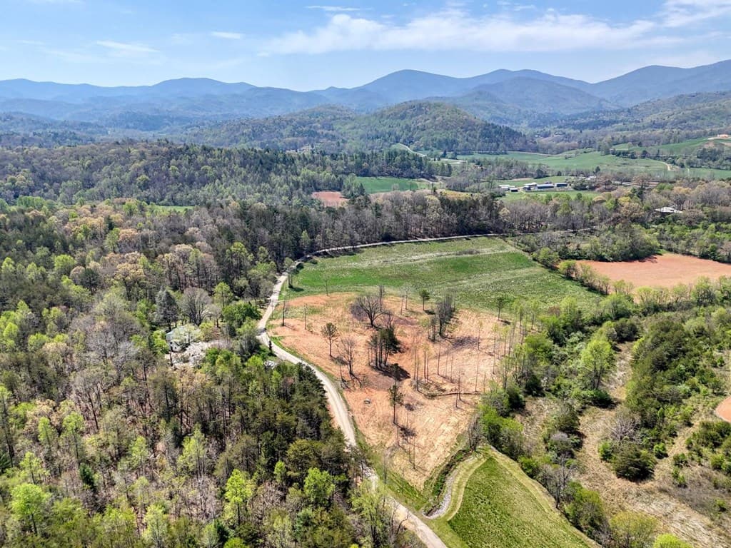 Tract II Shuler Road, Blairsville GA 30512 - Photo