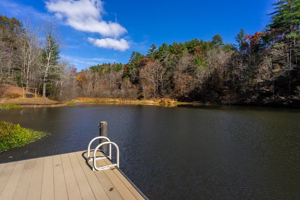 36 Utana Bluffs Trail, Ellijay GA 30540 - Photo