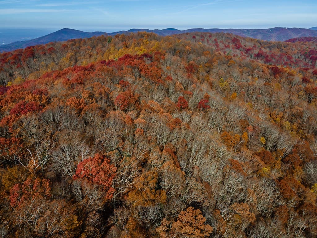 36 Utana Bluffs Trail, Ellijay GA 30540 - Photo
