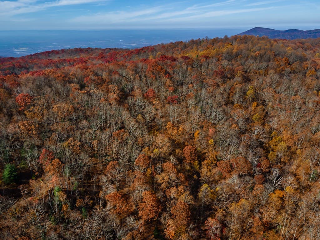 36 Utana Bluffs Trail, Ellijay GA 30540 - Photo