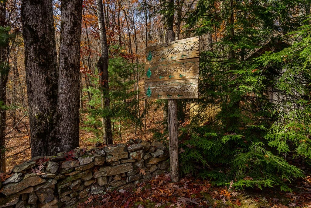 36 Utana Bluffs Trail, Ellijay GA 30540 - Photo