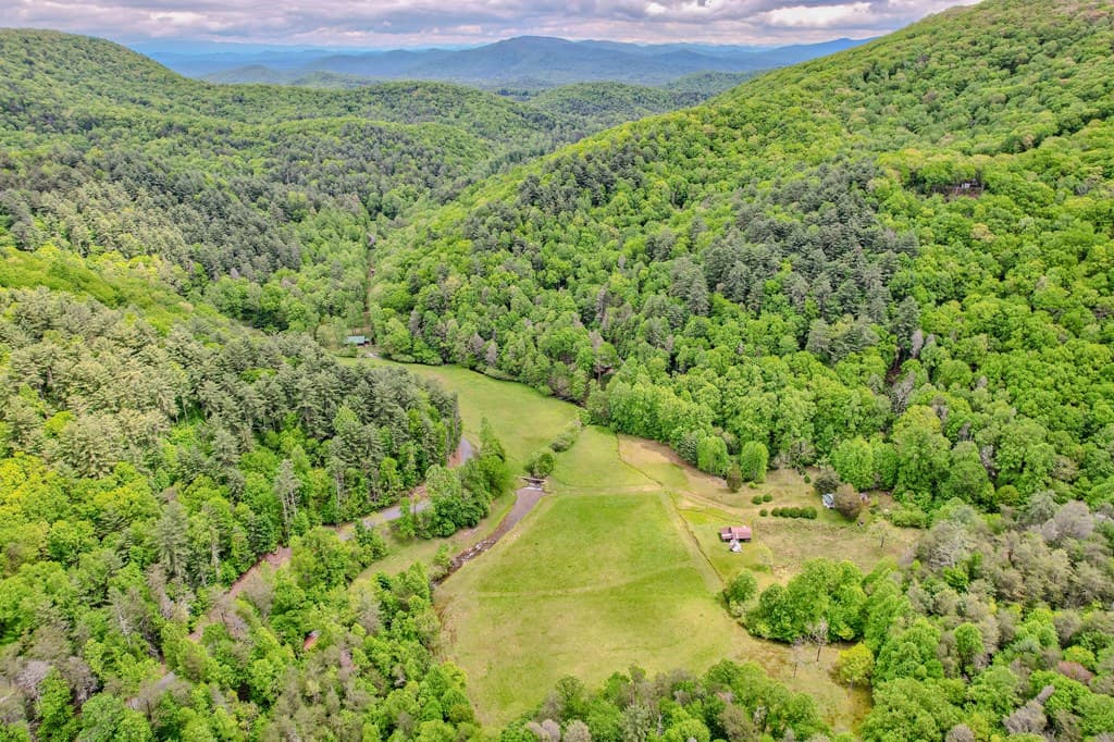 16400 Big Creek Road, Cherry Log GA 30522 - Photo