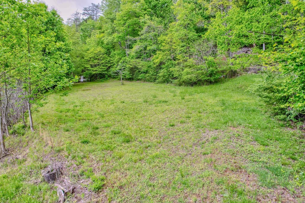 16400 Big Creek Road, Cherry Log GA 30522 - Photo