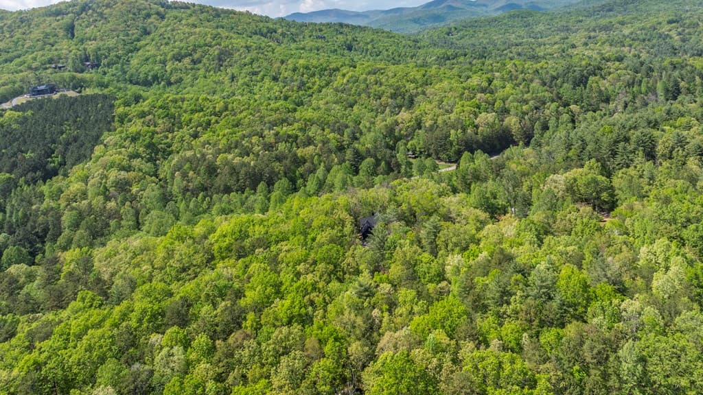 595 Arp Road, Mineral Bluff GA 30559 - Photo