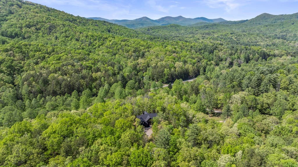 595 Arp Road, Mineral Bluff GA 30559 - Photo