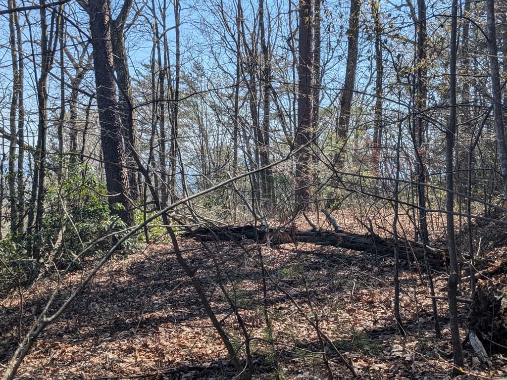 Trk 1&2 Kimsey Mountain Hwy, Turtletown TN 37391 - Photo