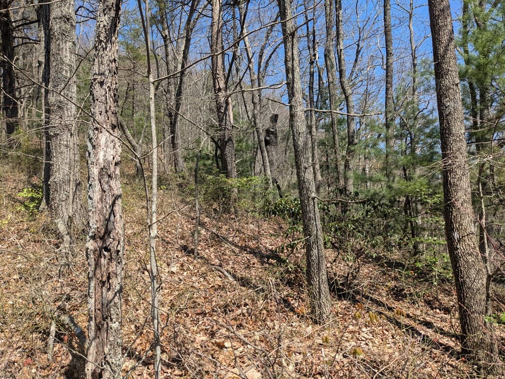 Trk 1&2 Kimsey Mountain Hwy, Turtletown TN 37391 - Photo
