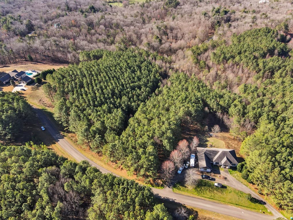 0 Foxpaw Leaf Lane, Ellijay GA 30536 - Photo