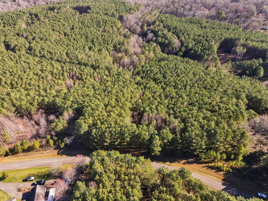 0 Foxpaw Leaf Lane, Ellijay GA 30536 - Photo
