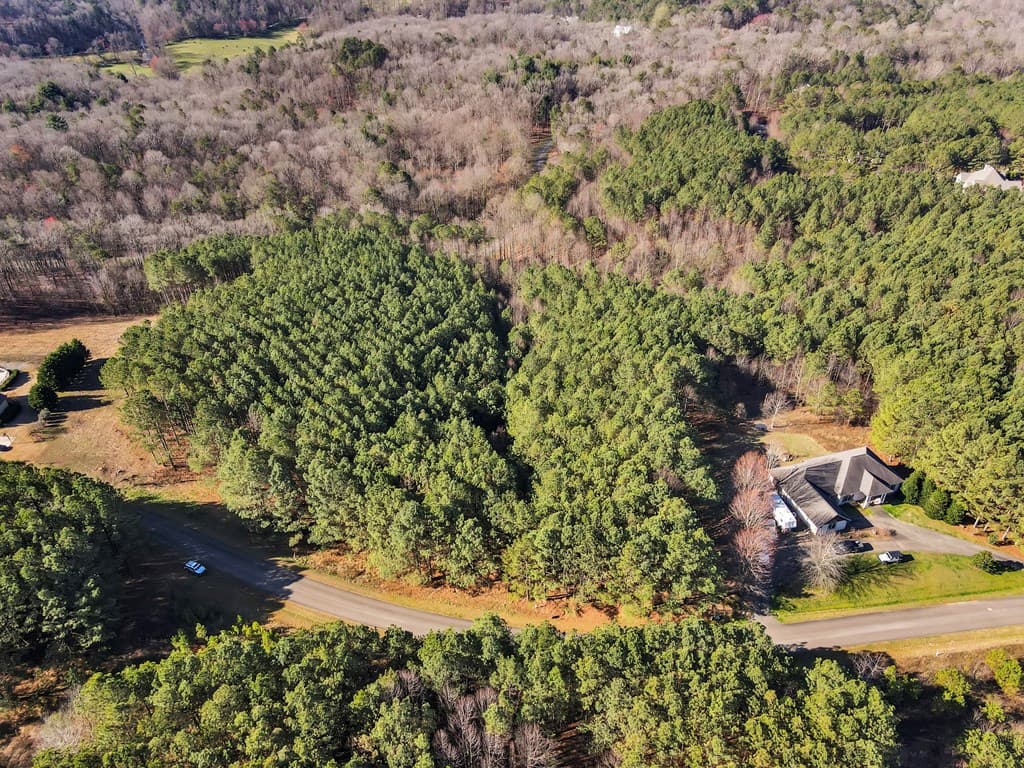 0 Foxpaw Leaf Lane, Ellijay GA 30536 - Photo