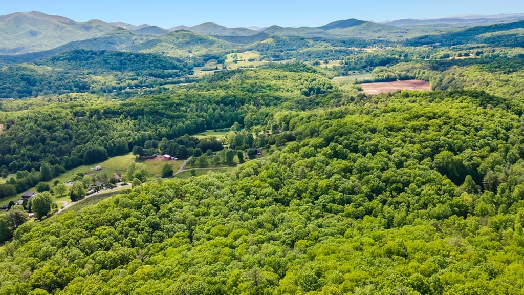127 Berry Reister Drive, Blairsville GA 30512 - Photo