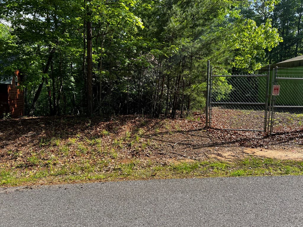 3.52 AC Payne Way, Blairsville GA 30512 - Photo