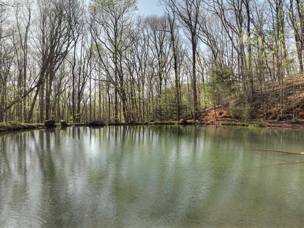 Lot 4 Wilderness Way, Ellijay GA 30536 - Photo