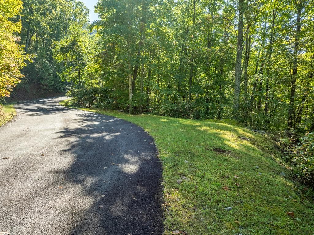 Lot 4 Wilderness Way, Ellijay GA 30536 - Photo