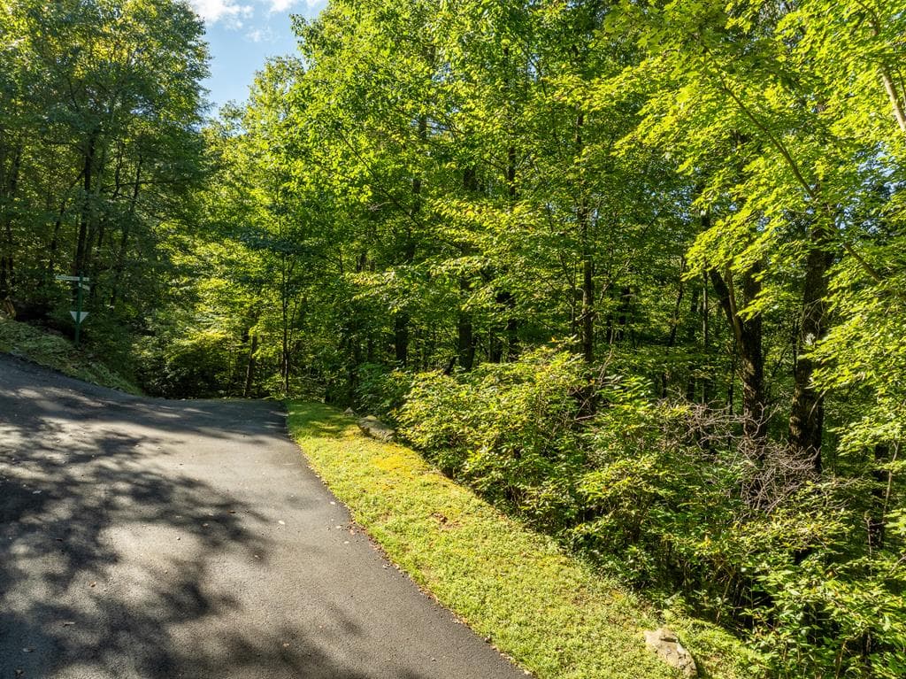 Lot 4 Wilderness Way, Ellijay GA 30536 - Photo
