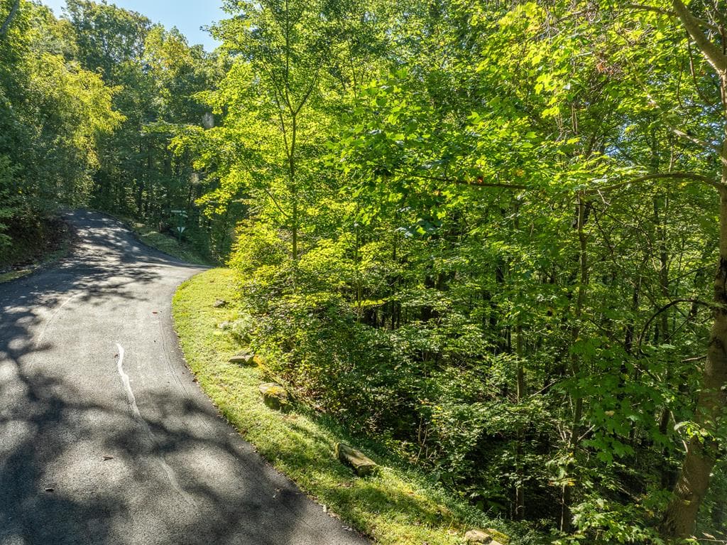 Lot 4 Wilderness Way, Ellijay GA 30536 - Photo