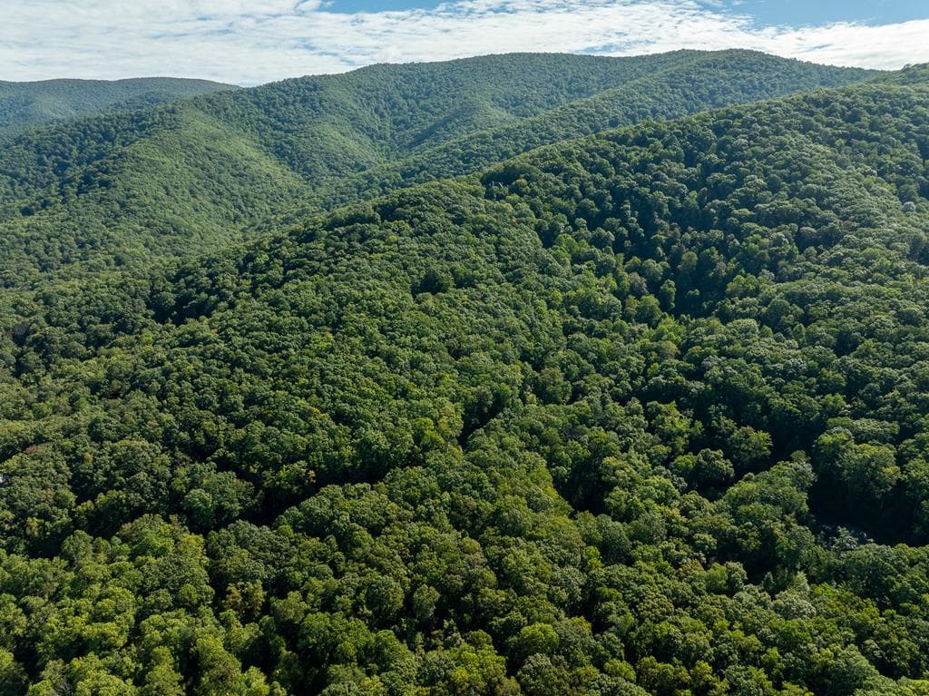 Lot 4 Wilderness Way, Ellijay GA 30536 - Photo