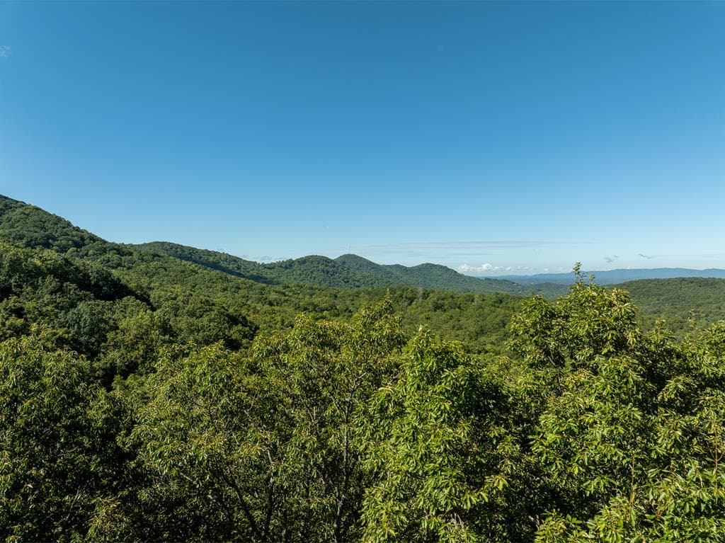 Lot 4 Wilderness Way, Ellijay GA 30536 - Photo