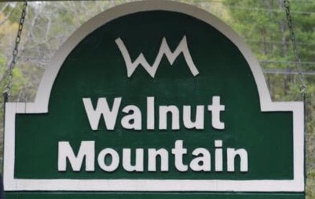 M163 Walnut Ridge, Ellijay GA 30336 - Photo
