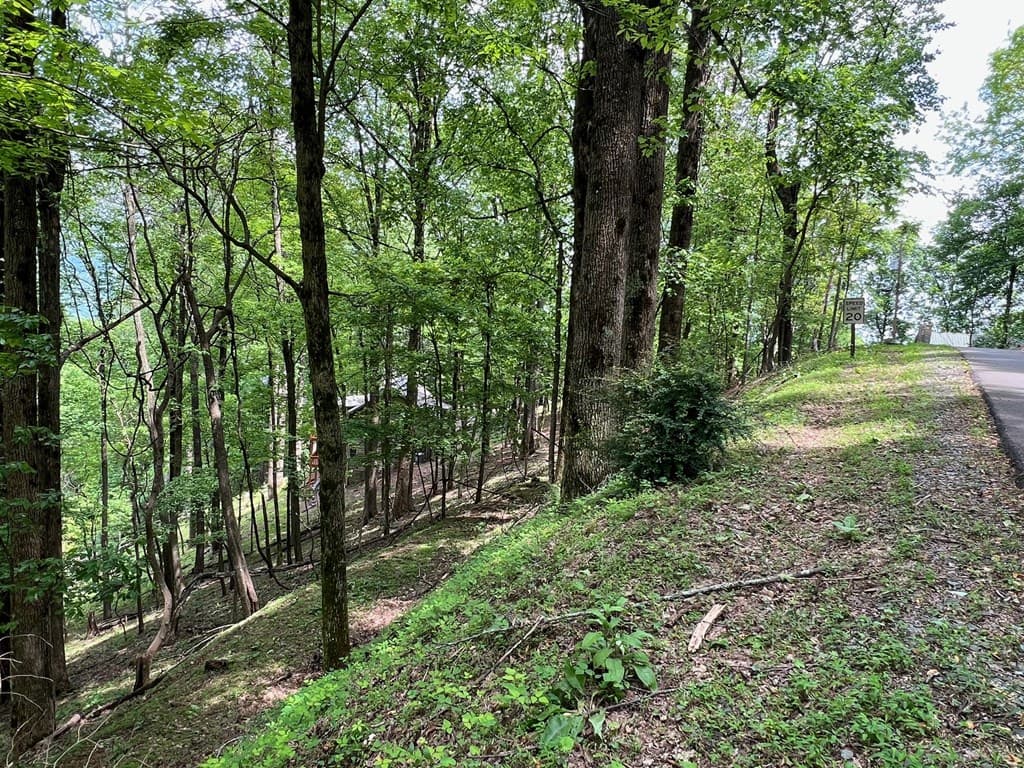 M163 Walnut Ridge, Ellijay GA 30336 - Photo