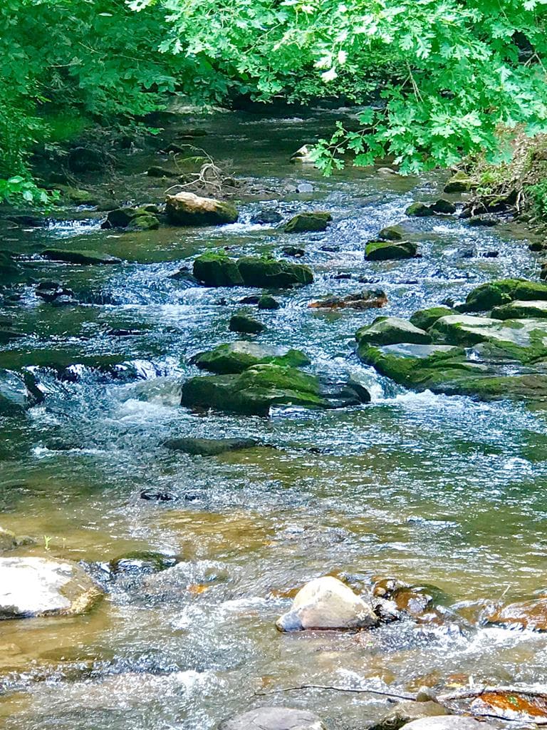 M164 Walnut Ridge, Ellijay GA 30336 - Photo