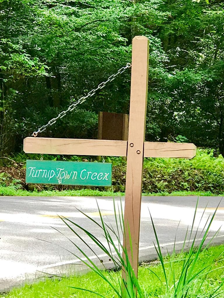 M164 Walnut Ridge, Ellijay GA 30336 - Photo