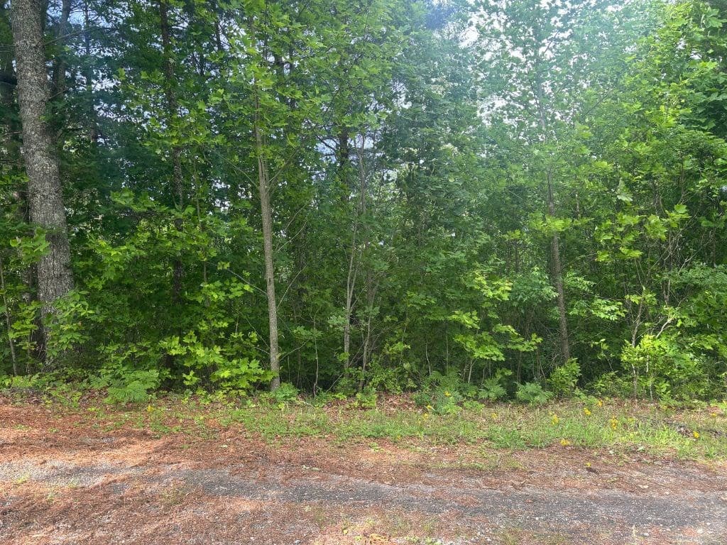 LOT 14 Whisper Woods Estates, Hiawassee GA 30546 - Photo