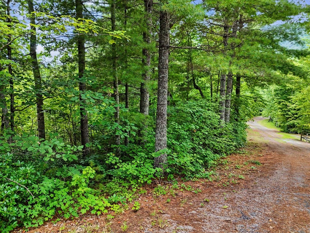 LOT 14 Whisper Woods Estates, Hiawassee GA 30546 - Photo
