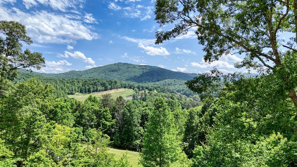 64 Town View Circle, Blairsville GA 30512 - Photo