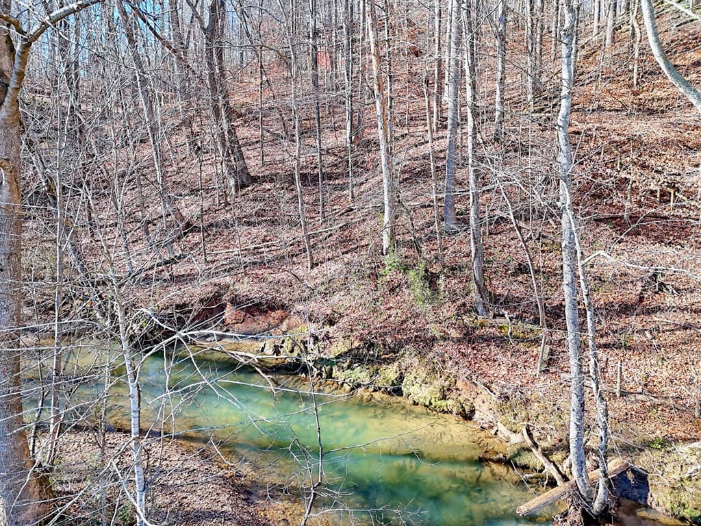 5827 Brasstown Creek Est, Young Harris GA 30582 - Photo