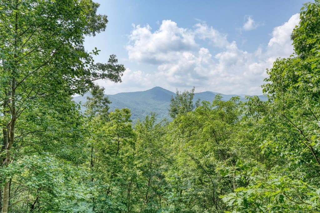 1795 Ivy Mountain Road, Hiawassee GA 30546 - Photo