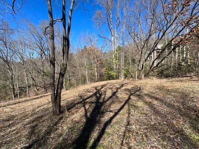 Lot 6 High Meadows, Hayesville NC 28904 - Photo