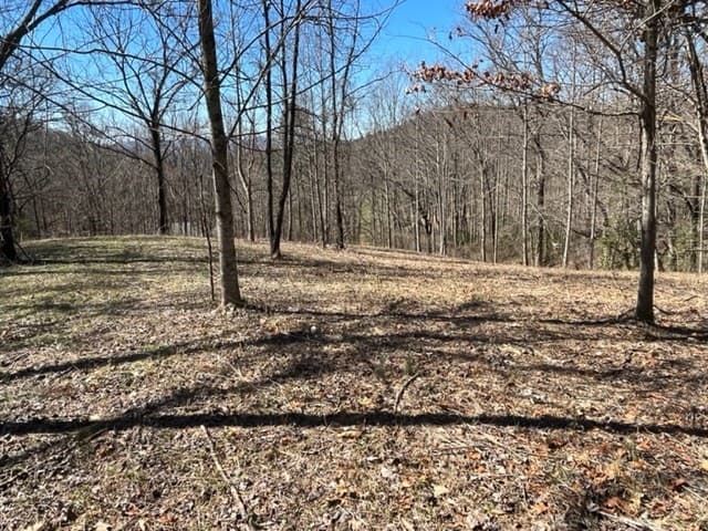 Lot 6 High Meadows, Hayesville NC 28904 - Photo