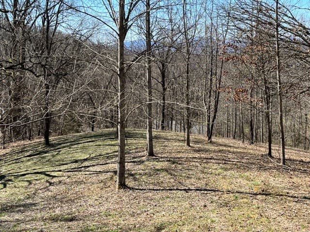 Lot 6 High Meadows, Hayesville NC 28904 - Photo