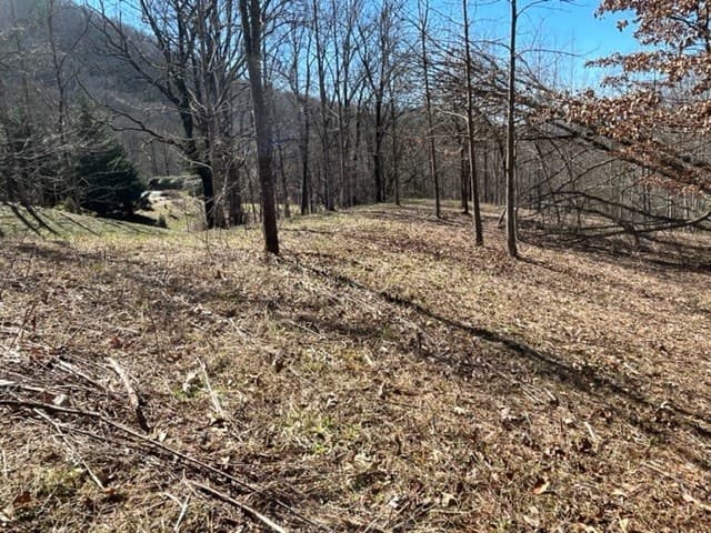 Lot 6 High Meadows, Hayesville NC 28904 - Photo