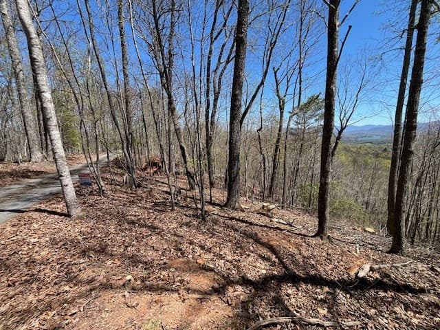 Lot 11 Longview Drive, Hayesville NC 28904 - Photo